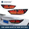 HcMotionz 2013-2018 Lexus es hintere Lampen